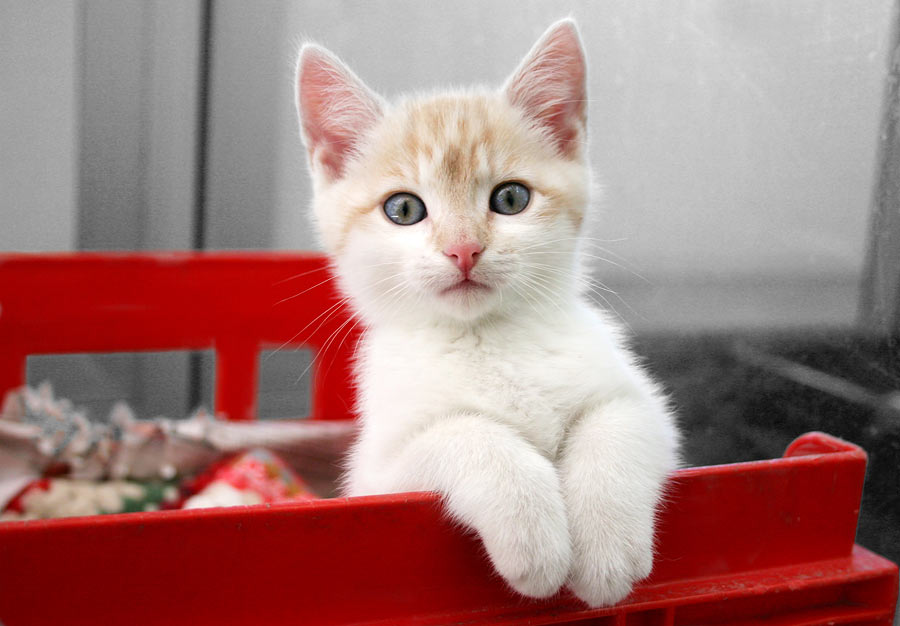 Перед путешествием: проверьте себя